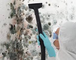 Best Real Estate Mold Inspection in USA